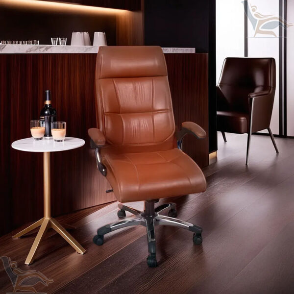 Luxury chair at Best Price