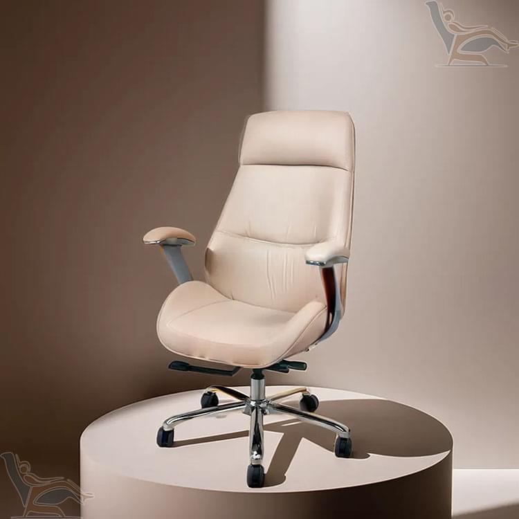 PRESTIGE MG-10 - Image 2