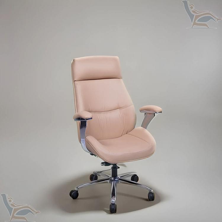 PRESTIGE MG-10 - Image 3